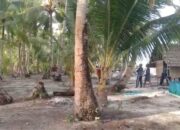 Anak Buah Kapal Pajeko Di Banggai Laut Dikabarkan Hilang di Pulau Loiso Desa Mbuang-Mbuang