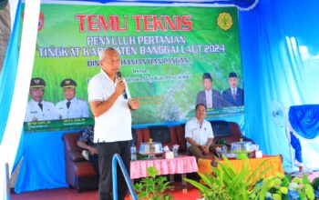 Sofyan Kaepa Buka Temu Teknis Penyuluh Pertanian Tingkat Kabupaten Banggai Laut 2024