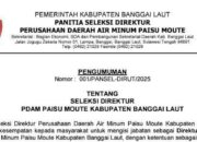Pengumuman Seleksi Direktur PDAM Paisu Moute Kabupaten Banggai Laut