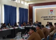 DPRD Banggai Laut Bahas Revisi PDRD, Transportasi Pasien Rujukan Diusulkan Ditanggung BPJS